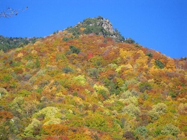 平野屋 旅館 3*