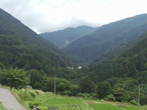 平野屋 旅館